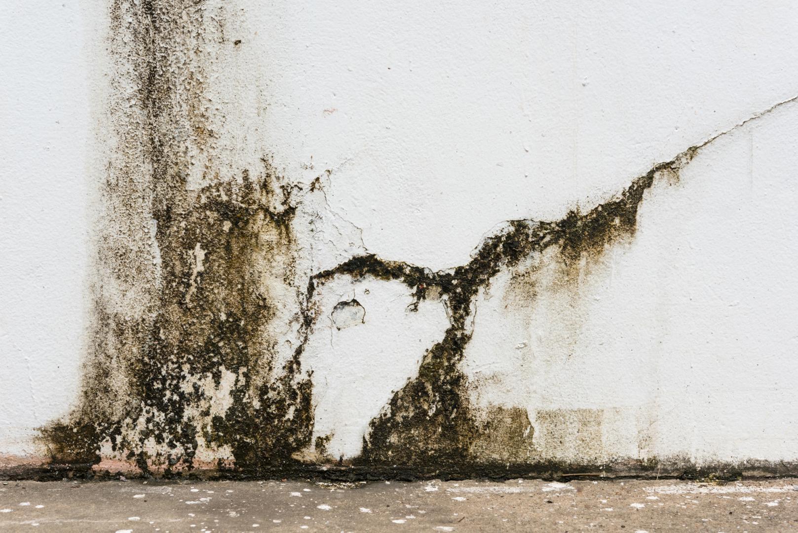 Traitement de fissures et d'humidité Boé